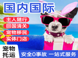 成吉思汗空运国际宠物托运 【国
